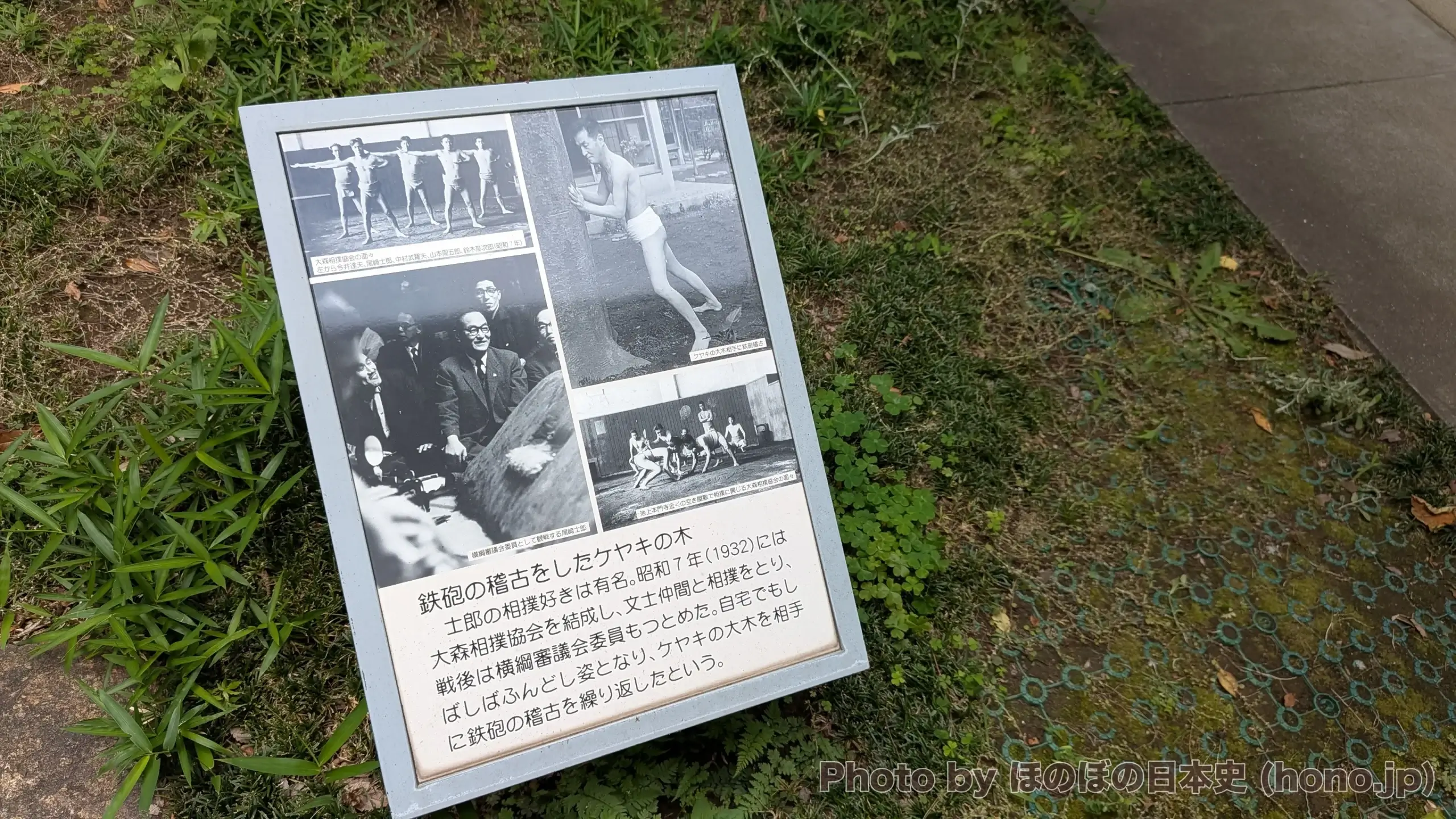 鉄砲の稽古をしたケヤキの木(尾﨑士郎記念館)